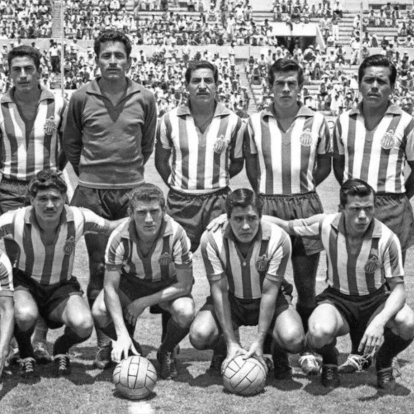 Chivas 1960