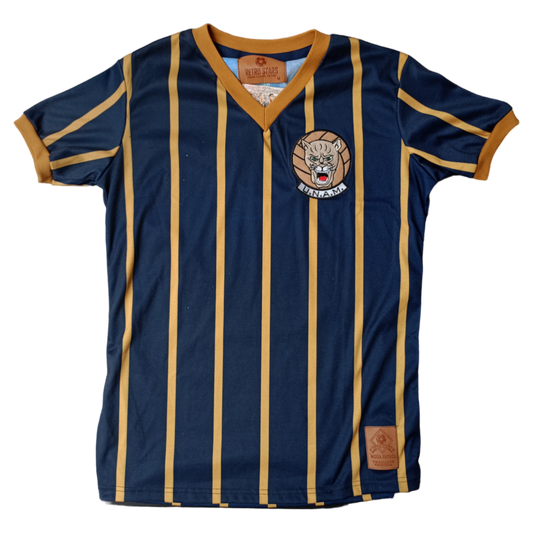 Pumas 1968