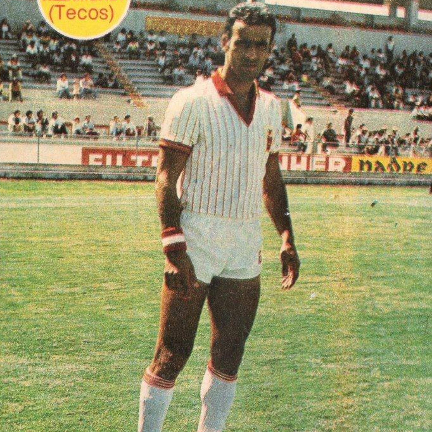 Tecos 1983