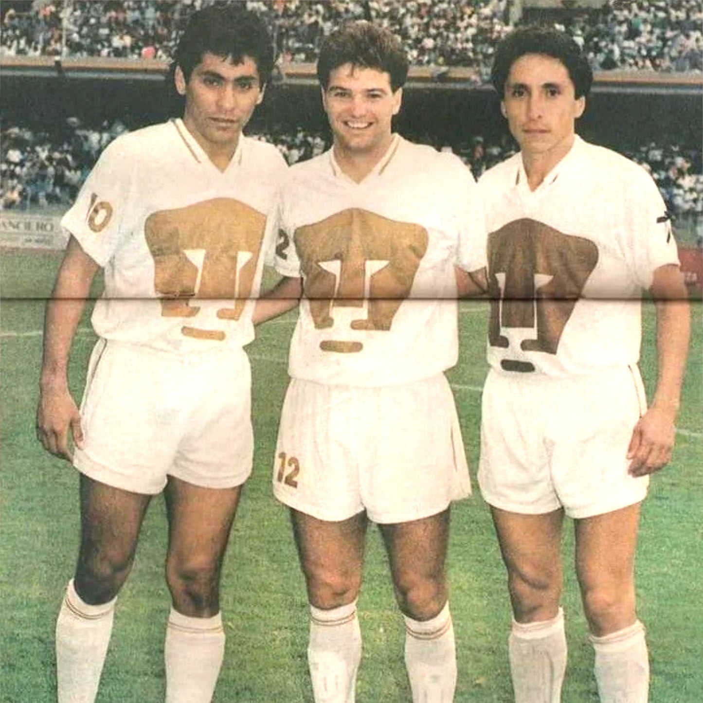 Pumas 1993